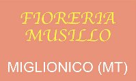 Un fioraio a Miglionico con fiori per ogni occasione. Fioreria Musillo in Via Sarli, 1 MIGLIONICO (Matera) - Cell. 347 530 2368 - 333 440 2619 - Tel. 0835 559872 - EMail: mimmo.musi@libero.it 