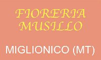 Un fioraio a Miglionico con fiori per ogni occasione. Fioreria Musillo in Via Sarli, 1 MIGLIONICO (Matera) - Cell. 347 530 2368 - 333 440 2619 - Tel. 0835 559872 - EMail: mimmo.musi@libero.it